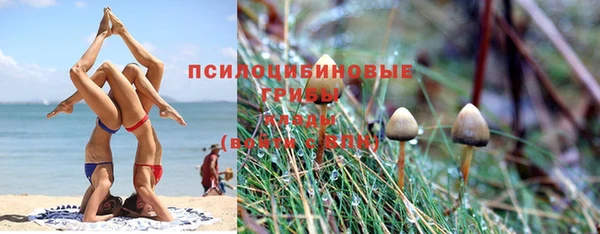 прущие крисы Баксан