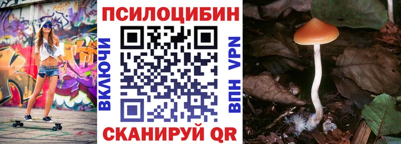 Галлюциногенные грибы GOLDEN TEACHER  Шумерля 